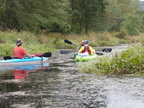 IMG 4588